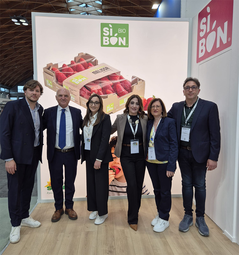 Da sinistra: Raffaele Pezone, Pietro Ciardiello, Elisabetta Falco, Rita Russo, Giuseppina D'Ambrosio e Paolo Picone